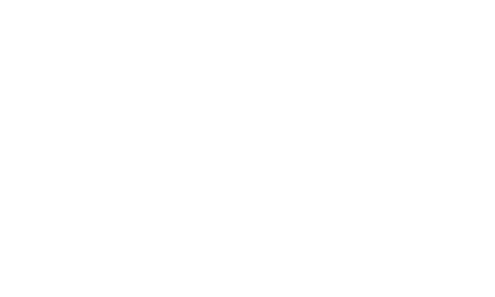Логотип Amusnet