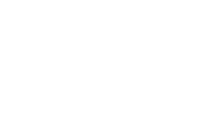 Логотип Endorphina