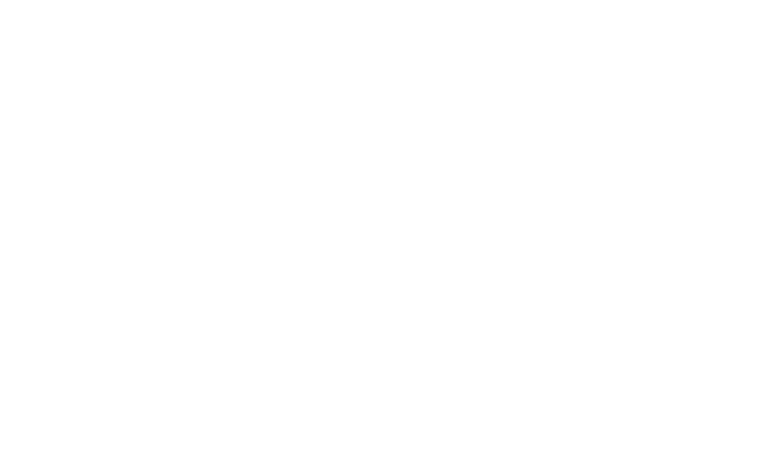 Логотип Novomatic