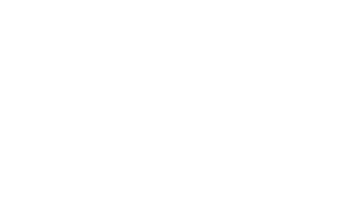 Логотип SmartSoft Gaming